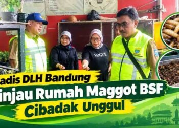 Kadis DLH Bandung Tinjau Rumah Maggot BSF Cibadak Unggul
