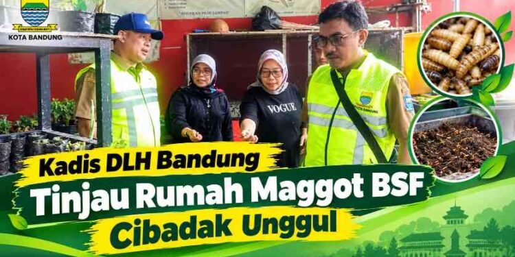 Kadis DLH Bandung Tinjau Rumah Maggot BSF Cibadak Unggul